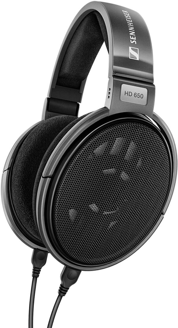 Sennheiser 508825 HD 650 Open Audiophile Hi-Fi Headphones